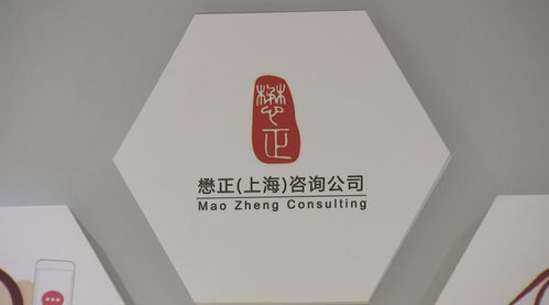 從公職到創(chuàng)業(yè) 崇明青年的無(wú)邊風(fēng)景與技術(shù)咨詢(xún)夢(mèng)