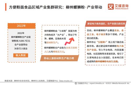技術(shù)賦能與消費驅(qū)動 2024年中國方便粉面食品行業(yè)洞察與趨勢展望——基于中國食品科學技術(shù)學會與艾媒咨詢研究報告的交流探討